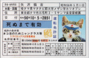 nameneko.gif