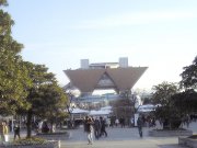 bigsight.jpg